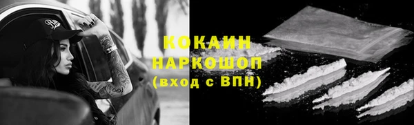 прущие грибы Алексин