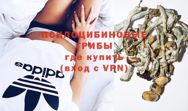 СК Алексеевка