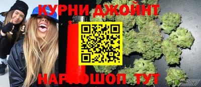 гашик Вязьма