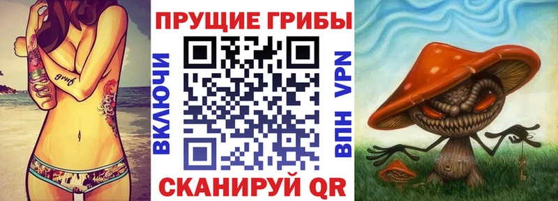 Псилоцибиновые грибы ЛСД  блэк спрут   Ачинск 