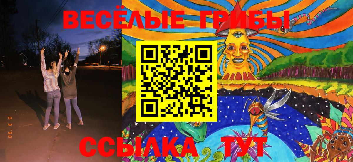 Галлюциногенные грибы Cubensis  Вход с VPN  Псилоцибиновые грибы ЛСД  Ачинск 